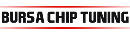 Megachips Chiptuning BURSA logosu