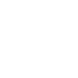 Soylu Egzoz logosu
